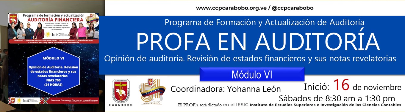 PROFA-AUDITORÍA--Opinión-de-auditoría.-Revisión-de-estados-financieros-y-Notas-Revelatorias------Módulo-VI---NOVIEMBRE-2024