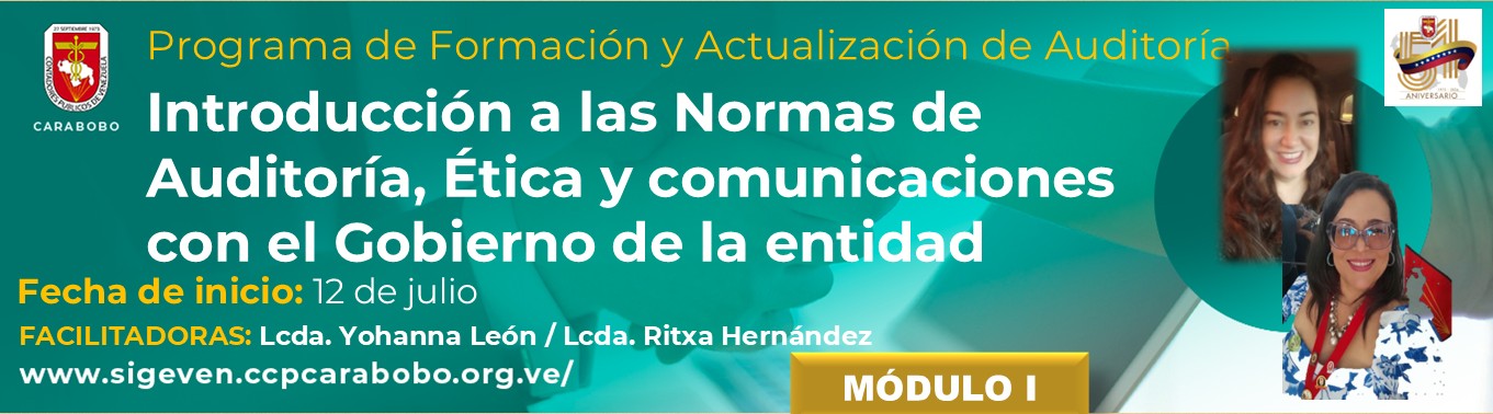 PROFA-AUDITORÍA---Programa-de-Formación-y-Actualización-de-Auditoría-Financiera-----Módulo-I---JULIO-2025